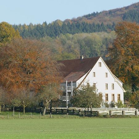 Ferienwohnung An Der Obstwiese Borgholzhausen Екстер'єр фото