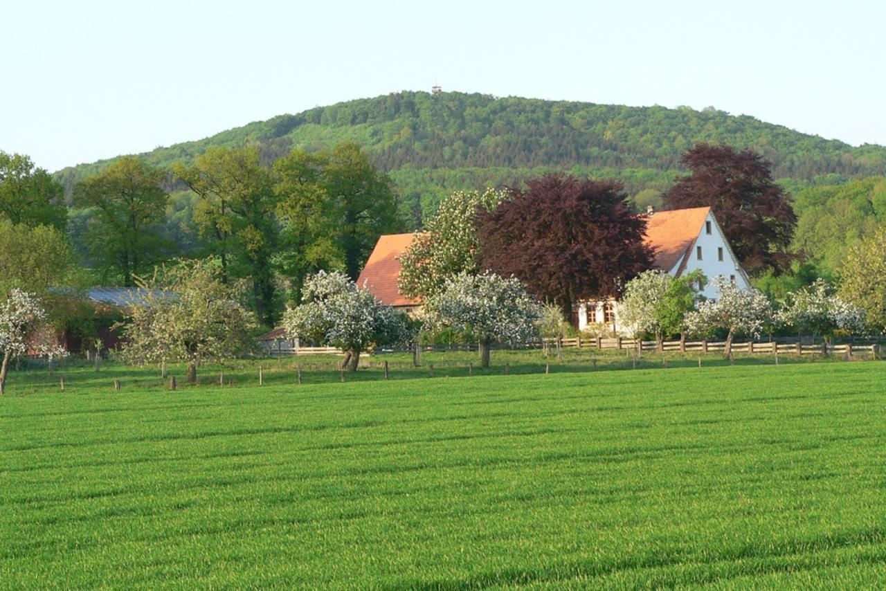 Ferienwohnung An Der Obstwiese Borgholzhausen Екстер'єр фото