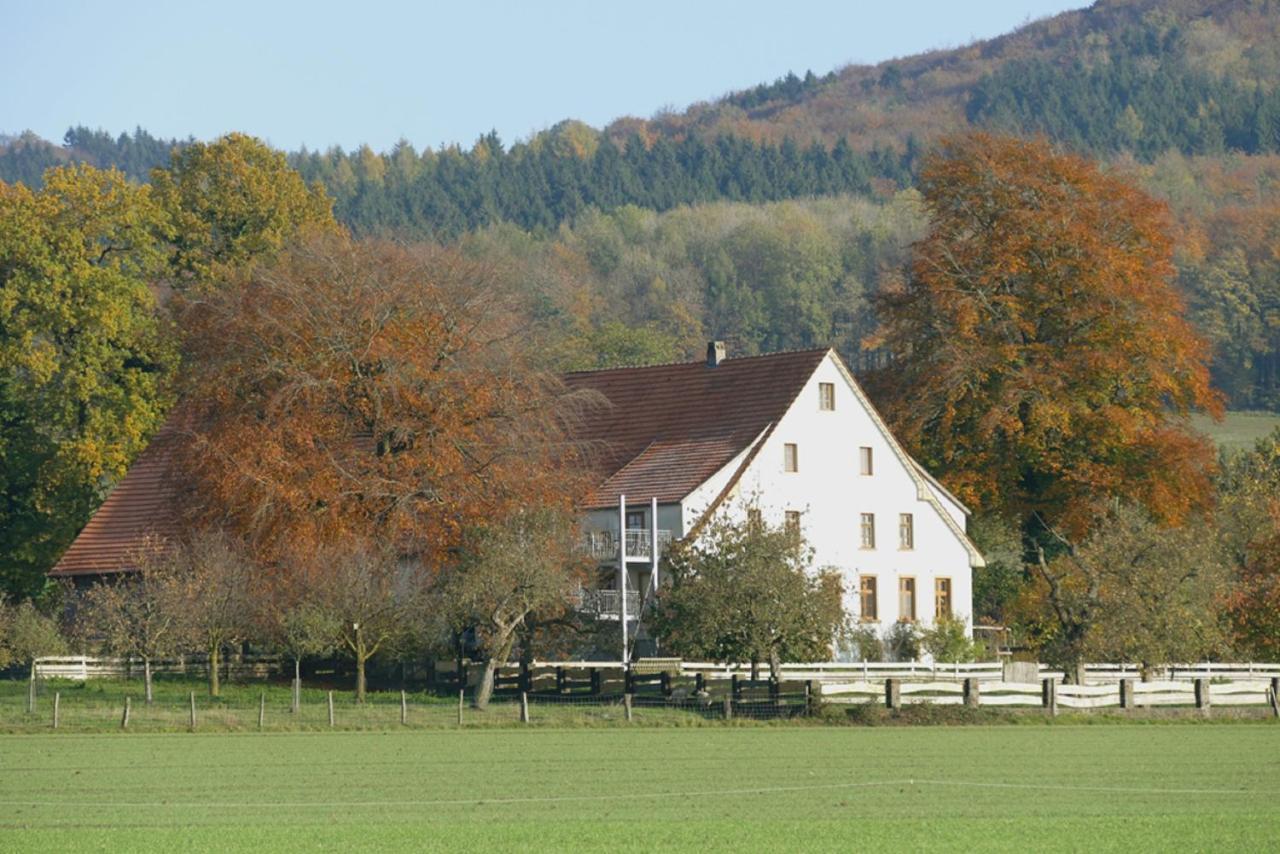 Ferienwohnung An Der Obstwiese Borgholzhausen Екстер'єр фото