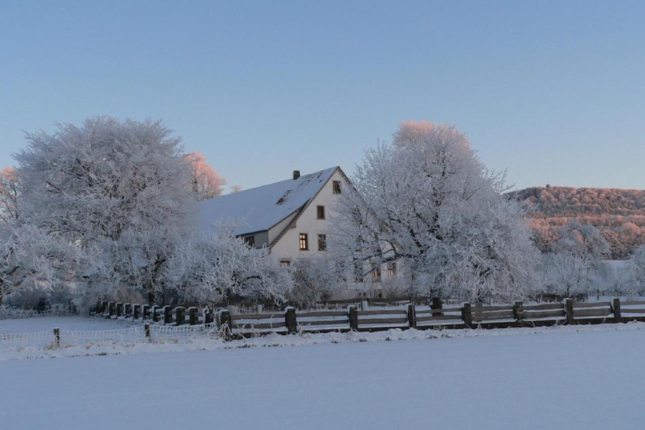 Ferienwohnung An Der Obstwiese Borgholzhausen Екстер'єр фото